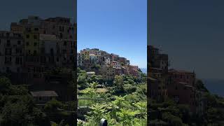 📍 Corniglia Cinque Terre 🇮🇹 cinqueterre bellaitalia corniglia travelvlog vacation shorts [upl. by Aenneea]