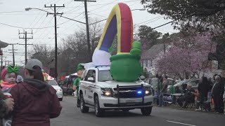 Ocean View residents ecstatic to see St Patricks Day Parade return [upl. by Bradeord]