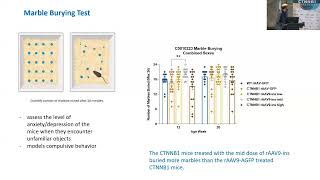 Evaluation of the Efficacy of CTNNB1 AAV9 Therapy on a Mouse Model  Dr Duško Lainšček [upl. by Cavanagh550]