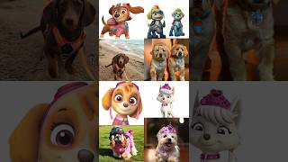 Paw patrol In Real Life pawpatrol shorts [upl. by Omoj]