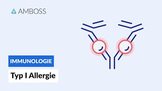 Soforttypreaktion Typ I Allergie  Biochemie  AMBOSS Video [upl. by Ddot954]