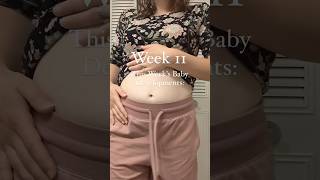 11 weeks pregnant baby development [upl. by Siesser41]