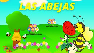 APRENDE sobre las abejas TODO sobre la abejaLA ABEJA para niñosCONOCE a la abeja POLINIZACIÓN [upl. by Jasmin]