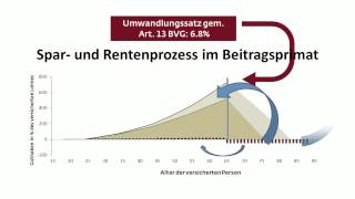 Der Unterschied zwischen Beitragsprimat und Leistungsprimat [upl. by Jessa261]