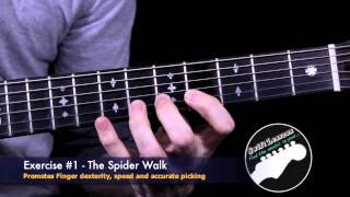 Spiderwalk Guitar Exercise Build Speed and Accuracy [upl. by Reuben]