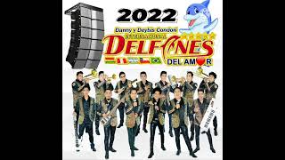 LOS DELFINES DEL AMOR FEAT LA NUEVA IMAGEN  MIX HUAYÑOS 2022 [upl. by Enelyad]