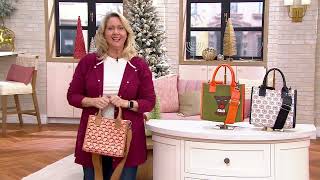 Bouffants amp Broken Hearts Mini Tote Crossbody on QVC [upl. by Valonia]