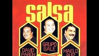 DAVID PAVON GRUPO GALE Y MAELO RUIZ EN VIVO LA TRILOGIA DE LA SALSA [upl. by Adriena285]