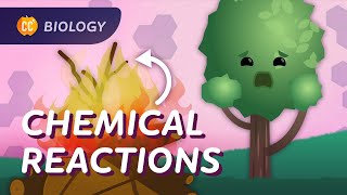 Chemical Reactions in Biology Crash Course Biology 26 [upl. by Plusch824]