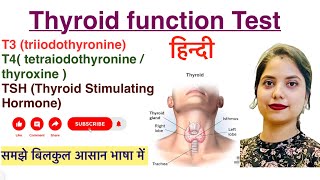 Thyroid Function Test in Hindi  T3  T4  TSH  Hindi  Biochemistry  MLT [upl. by Brockwell753]