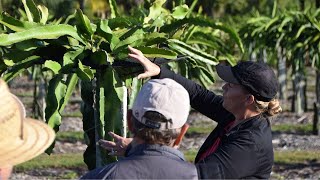 Highlights from the 2024 Collier County Agricultural Tour [upl. by Lennon823]