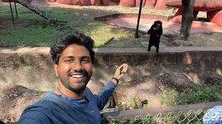 Hyderabad Zoo Park 🐅  Nehru Zoological Park  Complete Tour  Open Bus lion safari [upl. by Kalmick]