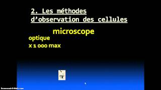 Les différentes cellules [upl. by Adniled]