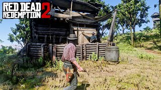 Players passed here many times but not notice this card  RDR2 [upl. by Avlis983]