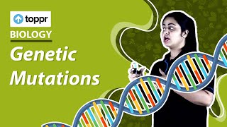 Genetic Mutations  Genetics  Class 9 Biology [upl. by Gavrielle]