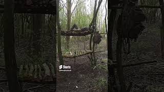 bushcraft bunkbedsbushcraftcampingsurvivalbushcrafterbushcraftraisedbed bushcraftukbushcamp [upl. by Youngman492]