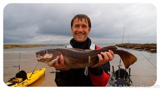 Catch Of the Day  Kayak fishing Scotland [upl. by Mcilroy201]