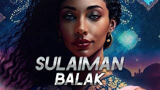 Sulaiman  Balak Slowed amp Reverb سليمان  بلاك [upl. by Fauman954]