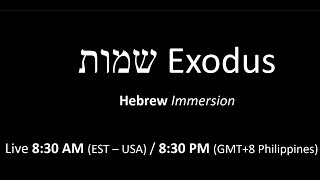 Language lab  Exodus Hebrew immersion  exodus chapter 5159 [upl. by Nicholle894]