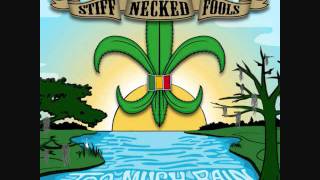 Stiff Necked Fools  Bayou Reggae [upl. by Ahsimin]