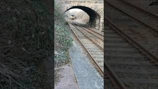 DERBY WORKSOP TEST CLASS 153 at KIVETON BRIDGE [upl. by Ardiedak]