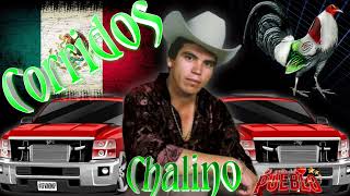 Puros corridos con mariachi ✴️✴️ Chalino Sánchez el rey del corrido ☆☆☆☆ [upl. by Yllut]