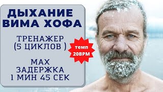 Вим Хоф 5 циклов Задержка 1 минута 45 сек Онлайнтренажер с музыкой и релаксацией [upl. by Airetas]