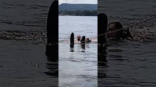 First water skiing on Mississippi River OEP with Big sister 😁 [upl. by Nwahsar939]