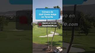 Golf Costa Adeje [upl. by Ayikaz]