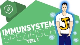 Spezifische Immunabwehr 1  Immunsystem [upl. by Yremogtnom]