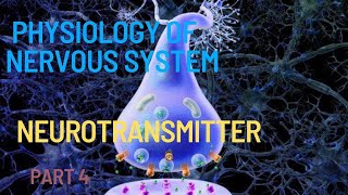 Physiology 2  Excitatory and inhibitory neurotransmitter in Amharic [upl. by Leavelle]