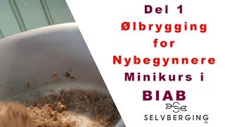 Ølbrygging for nybegynnere  minikurs i BIAB [upl. by Aruabea605]