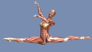 How to Grand Jete Muscle Anatomy Training Program EasyFlexibility [upl. by Audi]