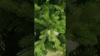 5ft 6ft 7ft 8ft 9ft Pe Artificial Christmas Tree Green Luxury New Year Tree [upl. by Asylem]