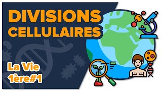 Les divisions cellulaires des eucaryotes SVT  LA VIE 1ère spé 1  Mathrix [upl. by Cloris]