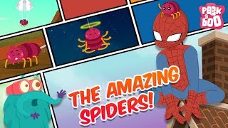 How Amazing Are Spiders  The Dr Binocs Show  Best Learning Videos For Kids  Peekaboo Kidz [upl. by Brandyn]