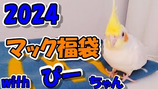 マクドナルド福袋2024withぴーちゃん＃オカメインコ [upl. by Sivra]