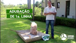 Adubação de Gramado Nutrição completa  Jardim sem segredo [upl. by Elia]