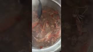 Cocinando mariscada salvadoreña casera youtubeshorts trending funny humor viralvideo [upl. by Noelani846]