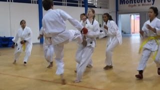 Karate 1 Boy vs 6 Girls Brutal Fight [upl. by Llenrod435]