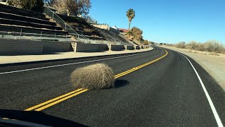 砂漠の回転草タンブルウィード西部劇によくある風景TumbleweedMojave Desert VlogDec 13 モハベ砂漠 [upl. by Eeramit]