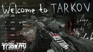 WILLERZ PvP ONLY  Escape from Tarkov [upl. by Soelch]