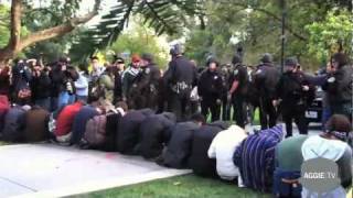 UC Davis Protestors Pepper Sprayed [upl. by Nanfa787]