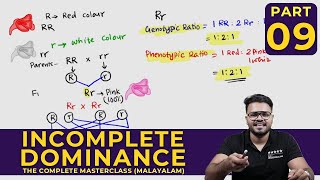 Mastering INCOMPLETE DOMINANCE  Principles of Inheritance and Variations  CLASS 09 [upl. by Aina942]