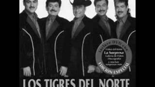 causame la muertelos tigres del norte [upl. by Tnemelc841]