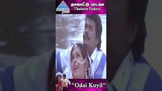 Odai Kuyil Video Song  Thalattu Padava Movie Song  Parthiban  Rupini  Khushboo  ytshorts [upl. by Newra]