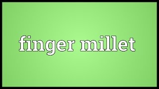 Finger millet Meaning [upl. by Anirrok656]