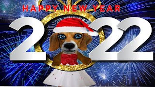 Feliz año 🎄 Perro dando felicitaciones de año nuevo 🎁 tarjetas para whatsapp y facebook 🎁para ti [upl. by Oneil]