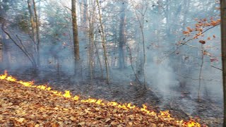 Columbiaville 4th alarm Field Fire November 9 2020 [upl. by Yznel]