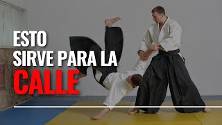 FUNCIONA el AIKIDO en una PELEA REAL  Como defenderse en una pelea callejera [upl. by Pol]